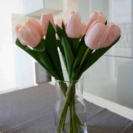 Lejlighed Casa Alita *