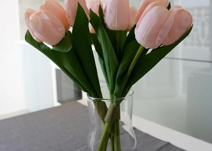 Διαμέρισμα Casa Alita *