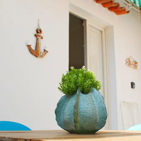 Apartment Casa Alita Viareggio